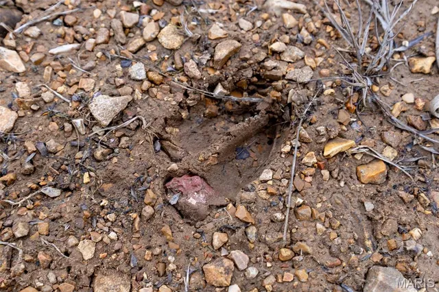 $165,000 | 809 Sanctuary Farms Ridge Road, Festus, MO 63028