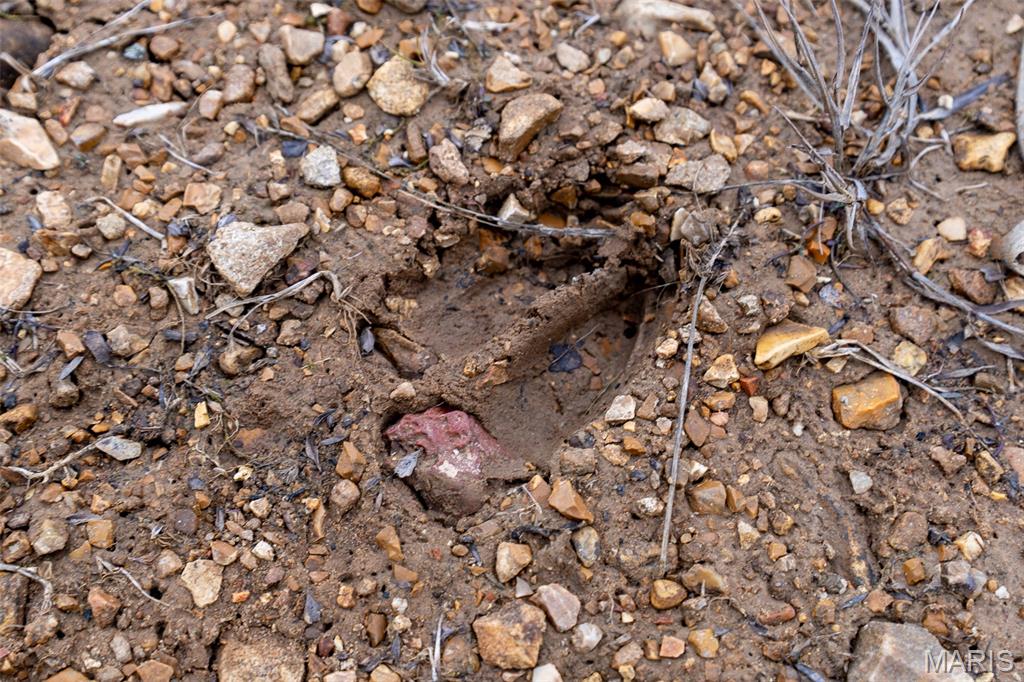 809 Sanctuary Farms Ridge Road Festus, MO 63028 - Photo 27 of 40