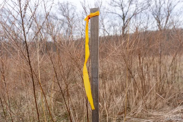 $165,000 | 809 Sanctuary Farms Ridge Road, Festus, MO 63028