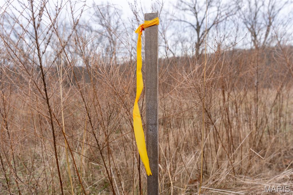 809 Sanctuary Farms Ridge Road Festus, MO 63028 - Photo 28 of 40