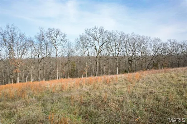 $150,000 | 809 Sanctuary Farms Ridge Road, Festus, MO 63028