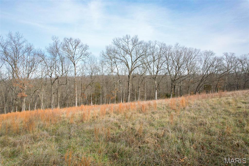 809 Sanctuary Farms Ridge Road Festus, MO 63028 - Photo 29 of 40