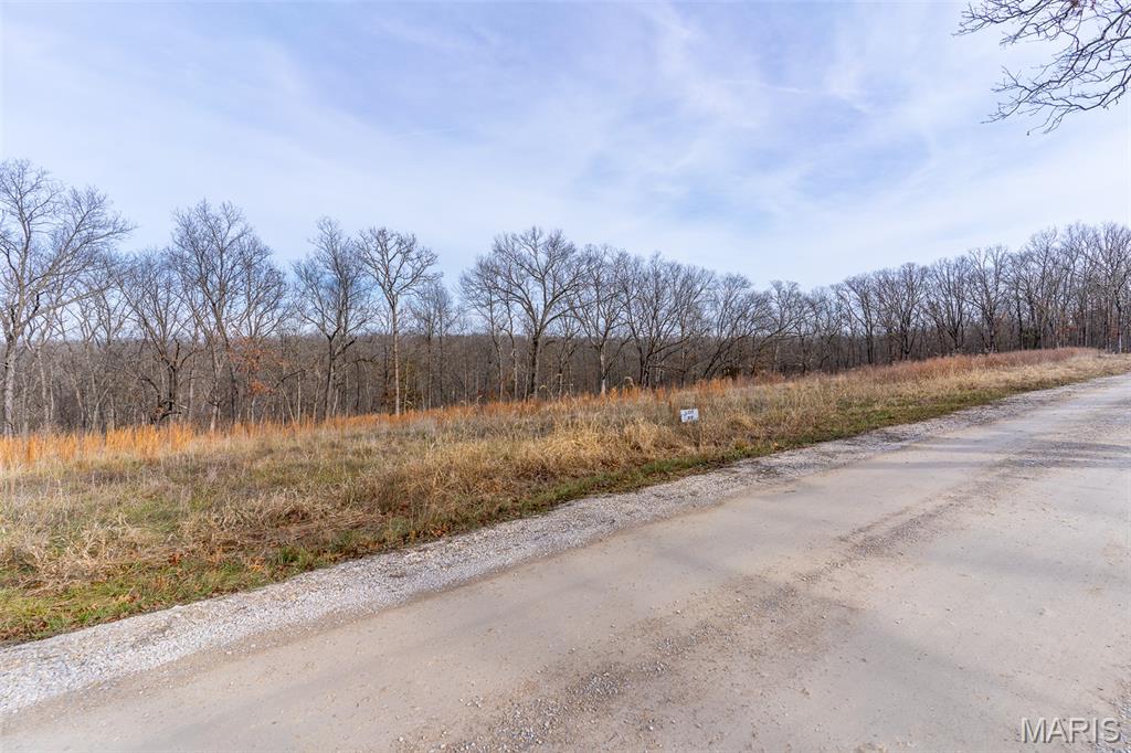 809 Sanctuary Farms Ridge Road Festus, MO 63028 - Photo 33 of 40