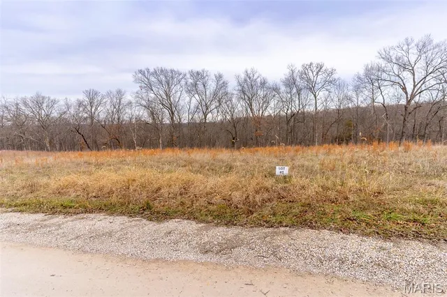 $165,000 | 809 Sanctuary Farms Ridge Road, Festus, MO 63028