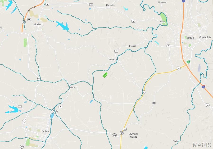 809 Sanctuary Farms Ridge Road Festus, MO 63028 - Photo 40 of 40