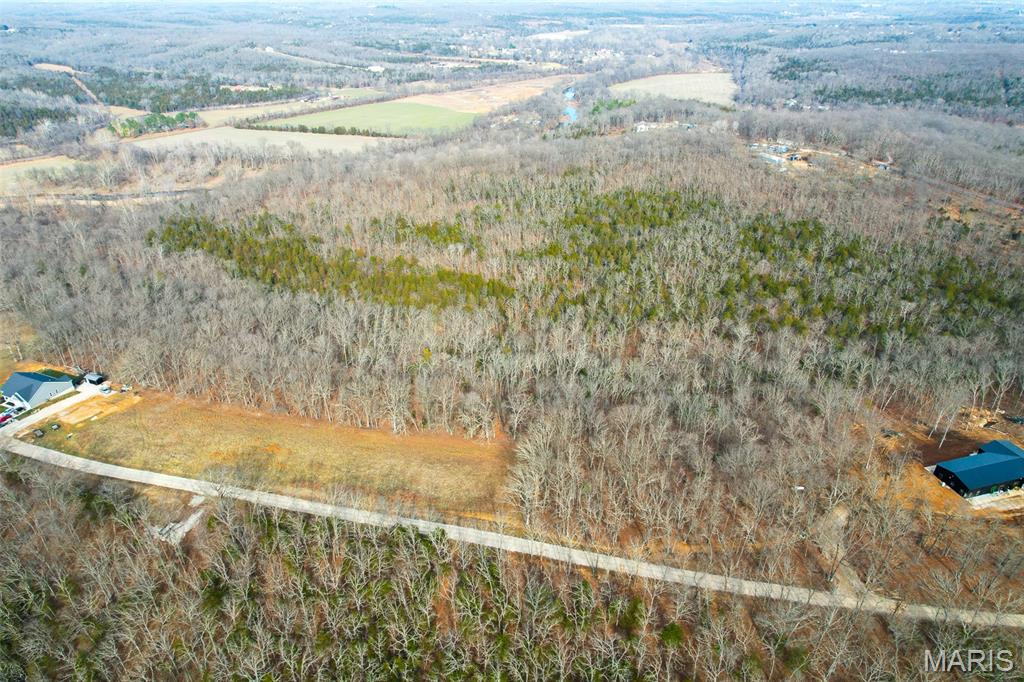 809 Sanctuary Farms Ridge Road Festus, MO 63028 - Photo 6 of 40