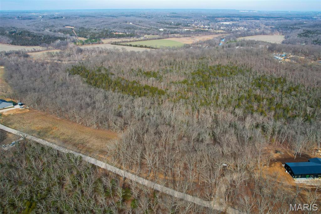 809 Sanctuary Farms Ridge Road Festus, MO 63028 - Photo 7 of 40