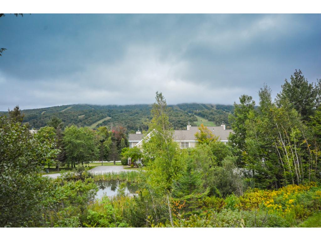 48 C Greenspring Road, Unit C Dover, VT 05356 - Photo 6 of 20 Gallery Image 6