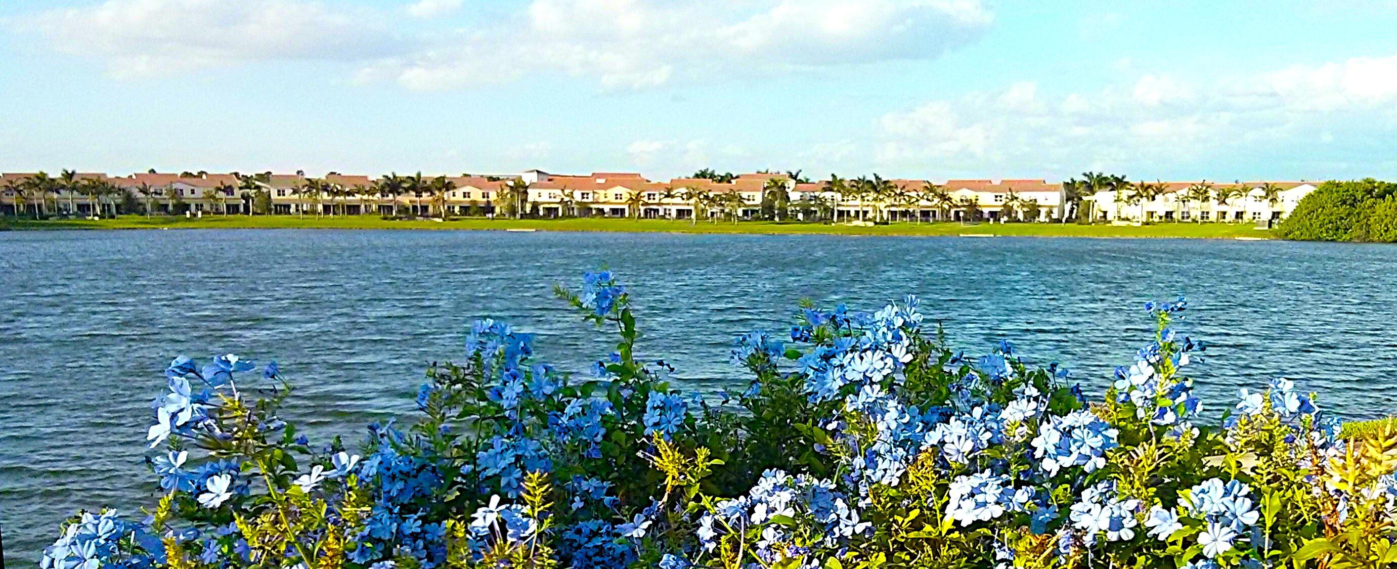 1440 Northwest 48th Drive Boca Raton, FL 33431 - Photo 46 of 51 0 1440 Lake from Lib toward Centra