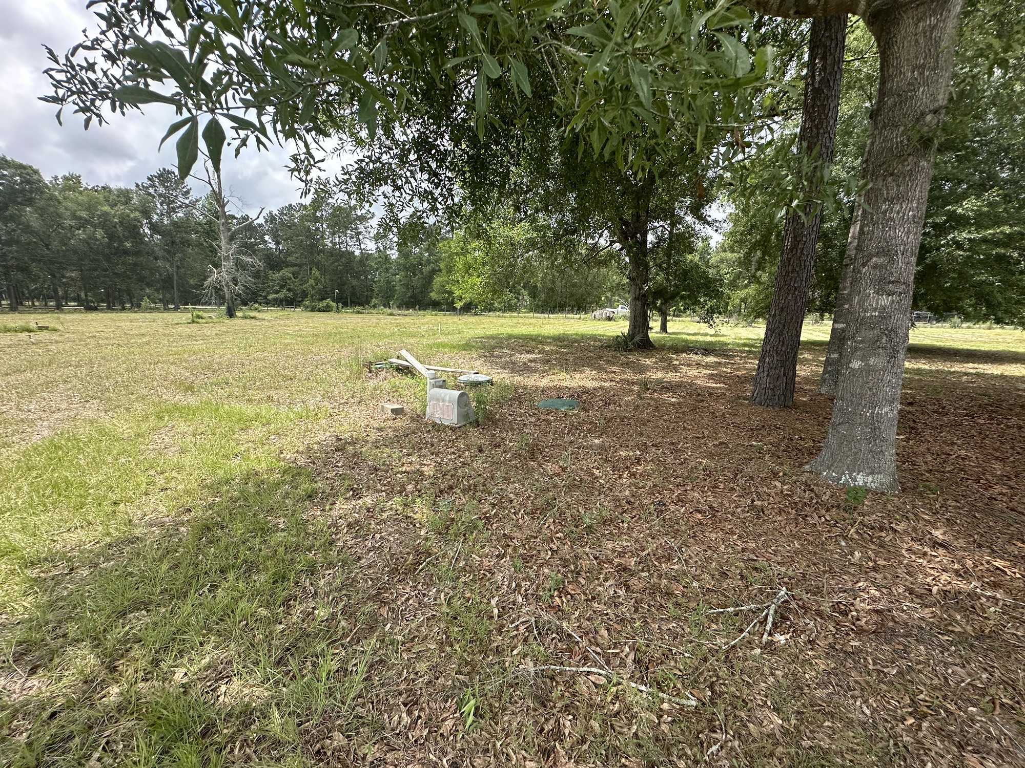 2229 Meekins Road Cleveland, TX 77328 - Photo 40 of 48 a view of outdoor space with trees all around