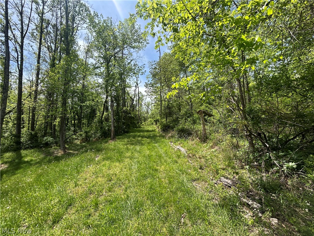 6180 Irish Ridge Road Southeast Corning, OH 43730 - Photo 46 of 50