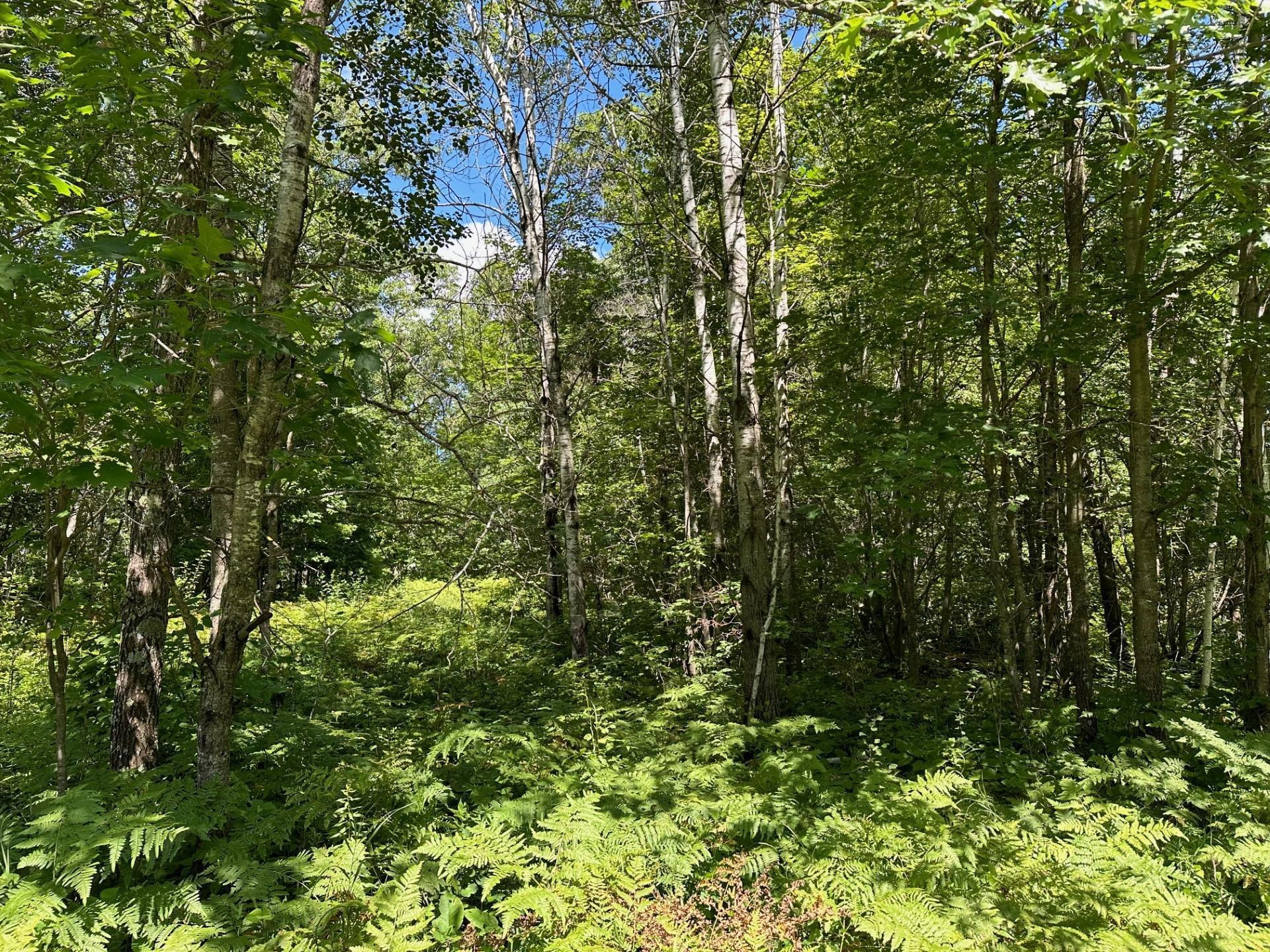 Tbd Tbd Nokay Hall Road Brainerd, MN 56401 - Photo 2 of 31