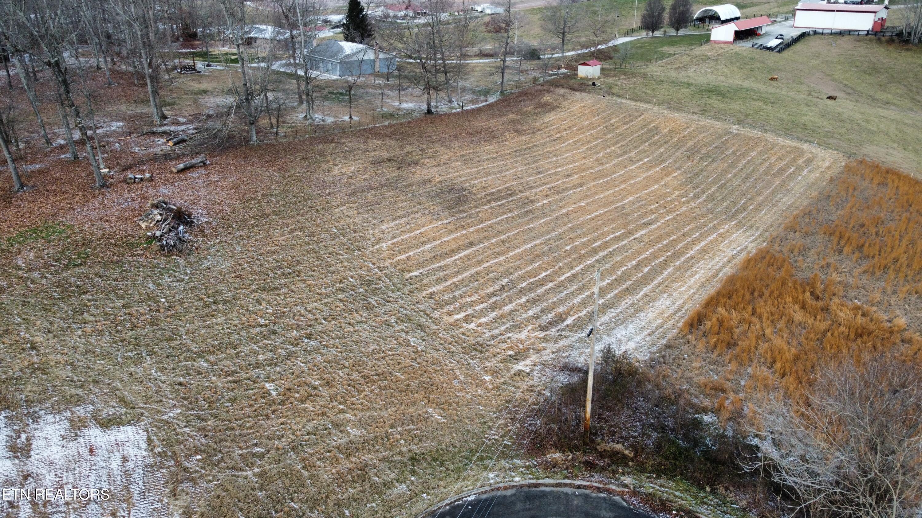 Lot 24 Rolling Hills Estates Rutledge, TN 37861 - Photo 4 of 5 dji_fly_20260115_100906_134_176849003762