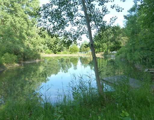 4714 Dexter-Pinckney Road Dexter, MI 48130 - Photo 24 of 25 Photo 24