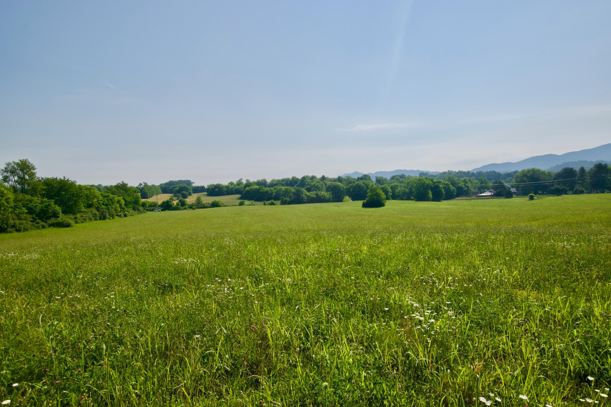 5 Chilhowee View Road Maryville, TN 37803 - Photo 3 of 4 Gallery Image 3
