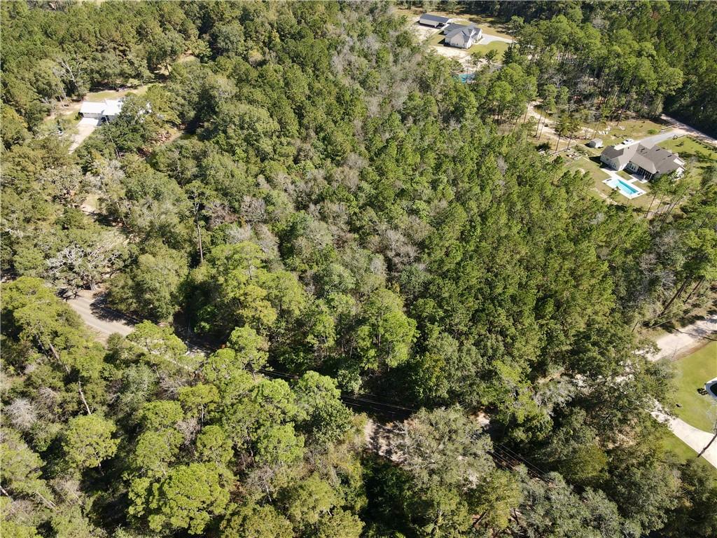 0 Brook Forest Road Abita Springs, LA 70420 - Photo 5 of 6