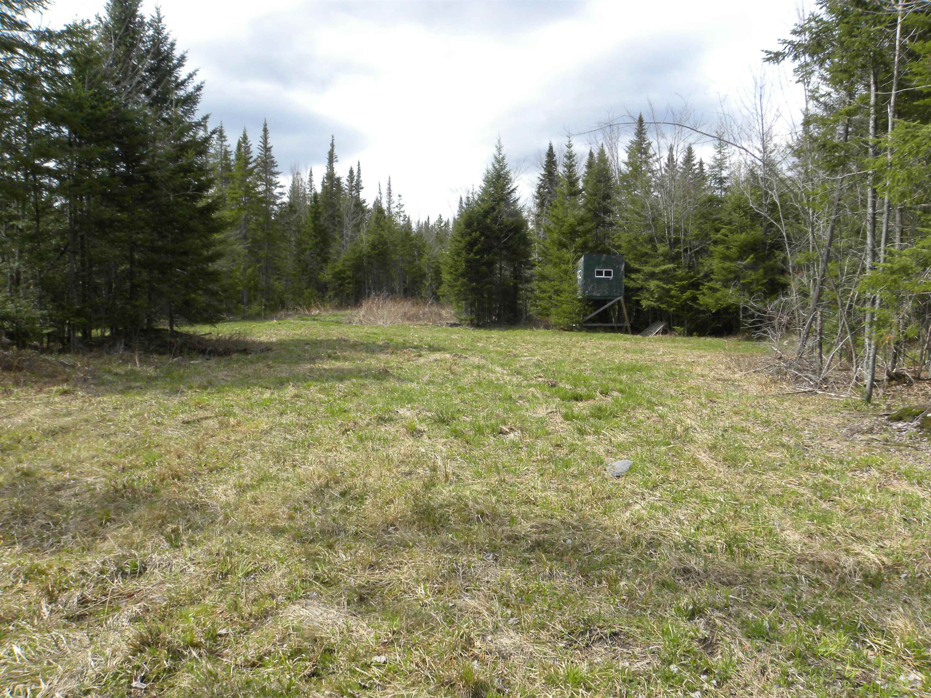 541 Dunn Mountain Road Sheffield, VT 05839 - Photo 28 of 30 Gallery Image 28