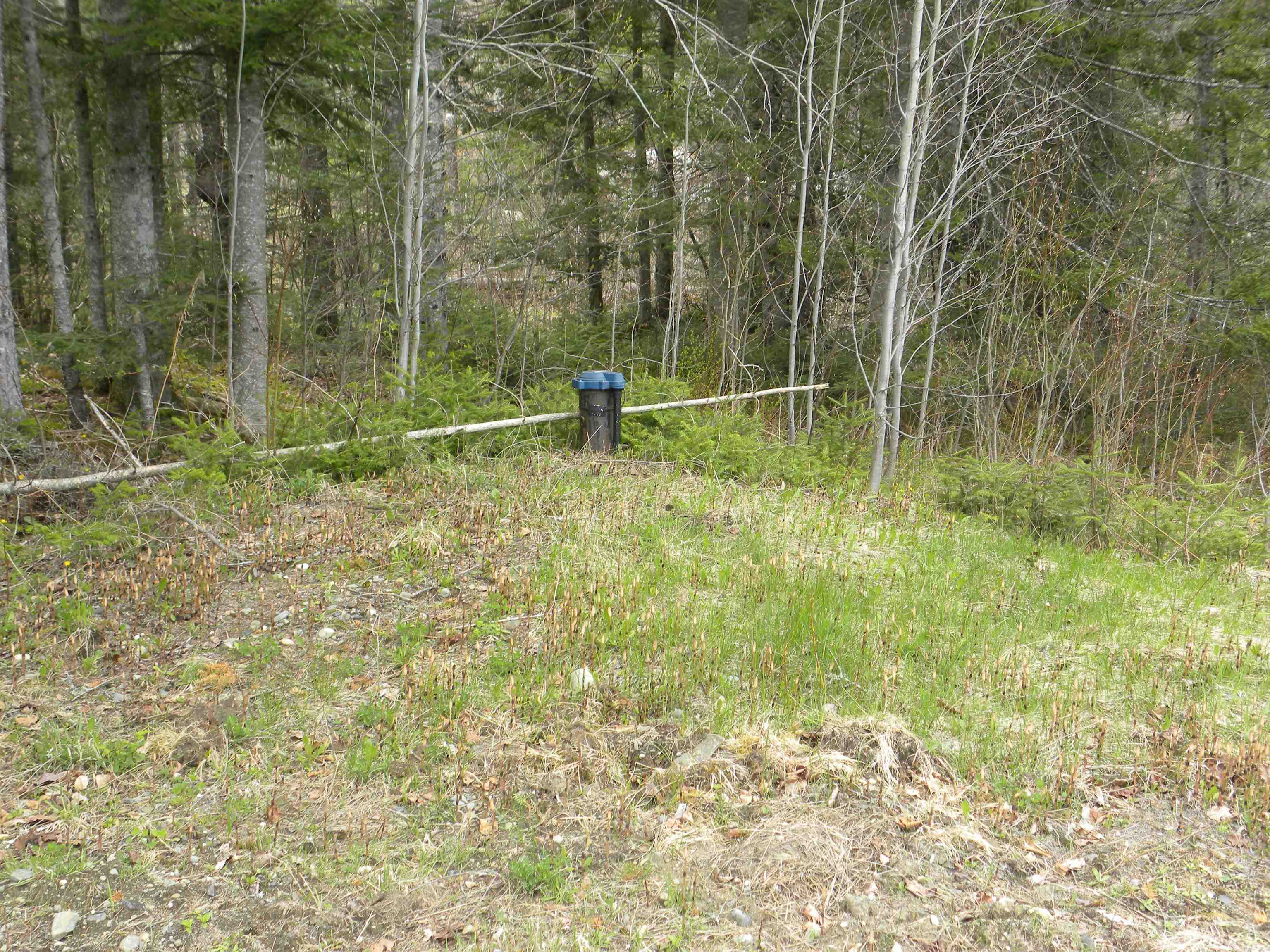 541 Dunn Mountain Road Sheffield, VT 05839 - Photo 29 of 30 Gallery Image 29