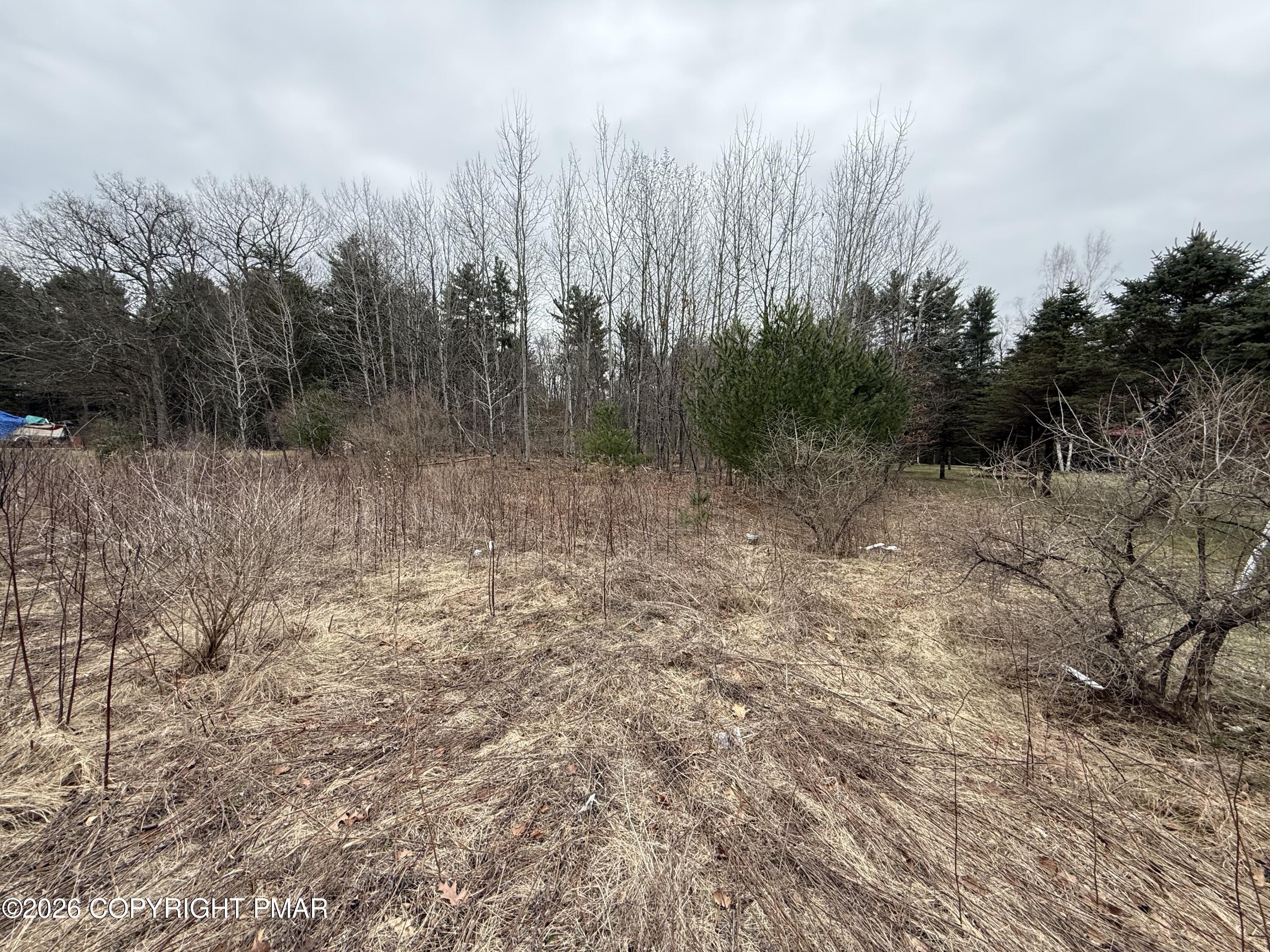 Creekview Road Kunkletown, PA 18058 - Photo 9 of 11 a view of a yard with trees in the background