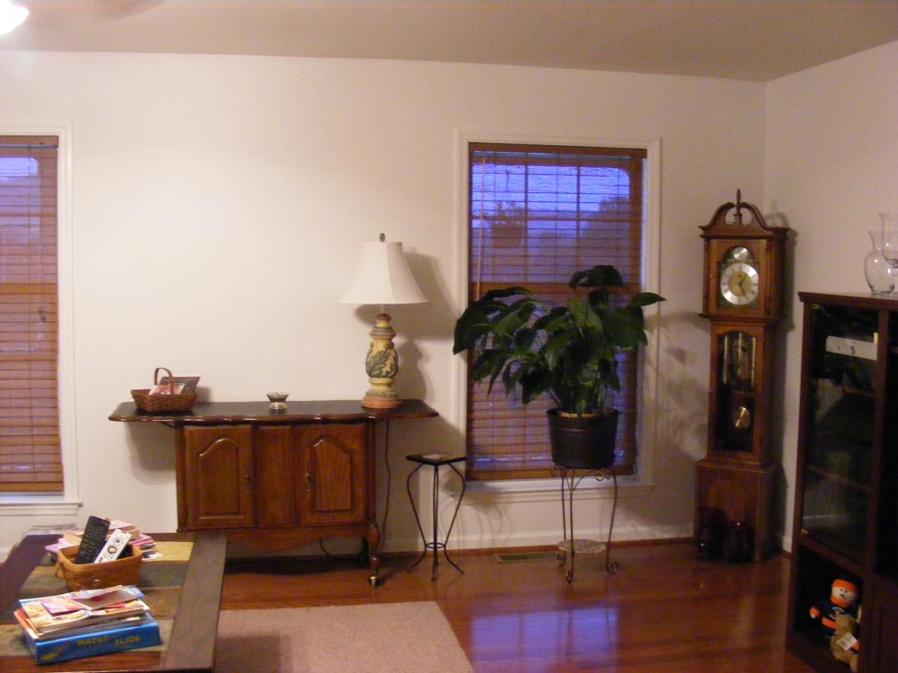 2433 Botetourt Road Fincastle, VA 24090 - Photo 4 of 12 living room.2