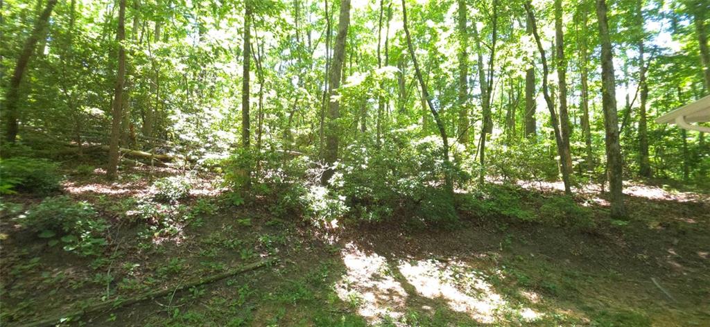 1774 Joe Black Road Sautee Nacoochee, GA 30571 - Photo 19 of 20 a view of a lush green forest