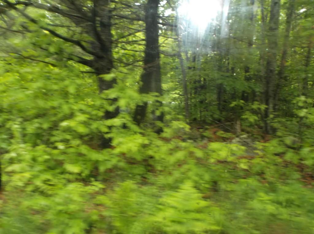 29 Wyman Road Palmyra, ME 04965 - Photo 22 of 32 Photo