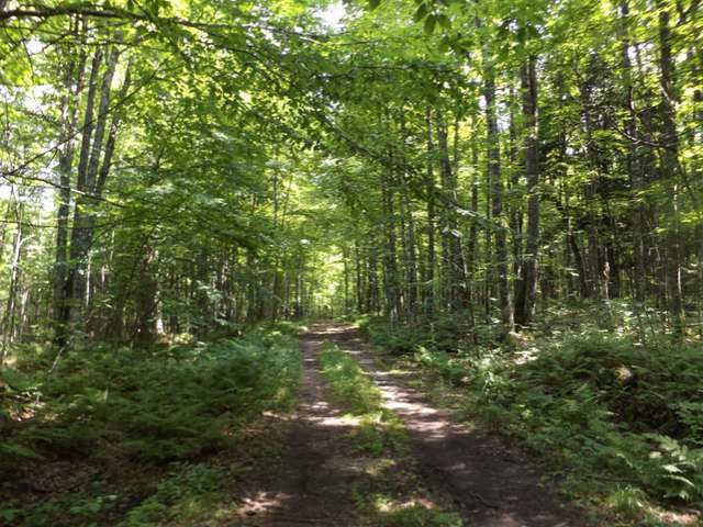 6380 Double Bend Road Argonne, WI 54511 - Photo 20 of 20 Gallery Image 20