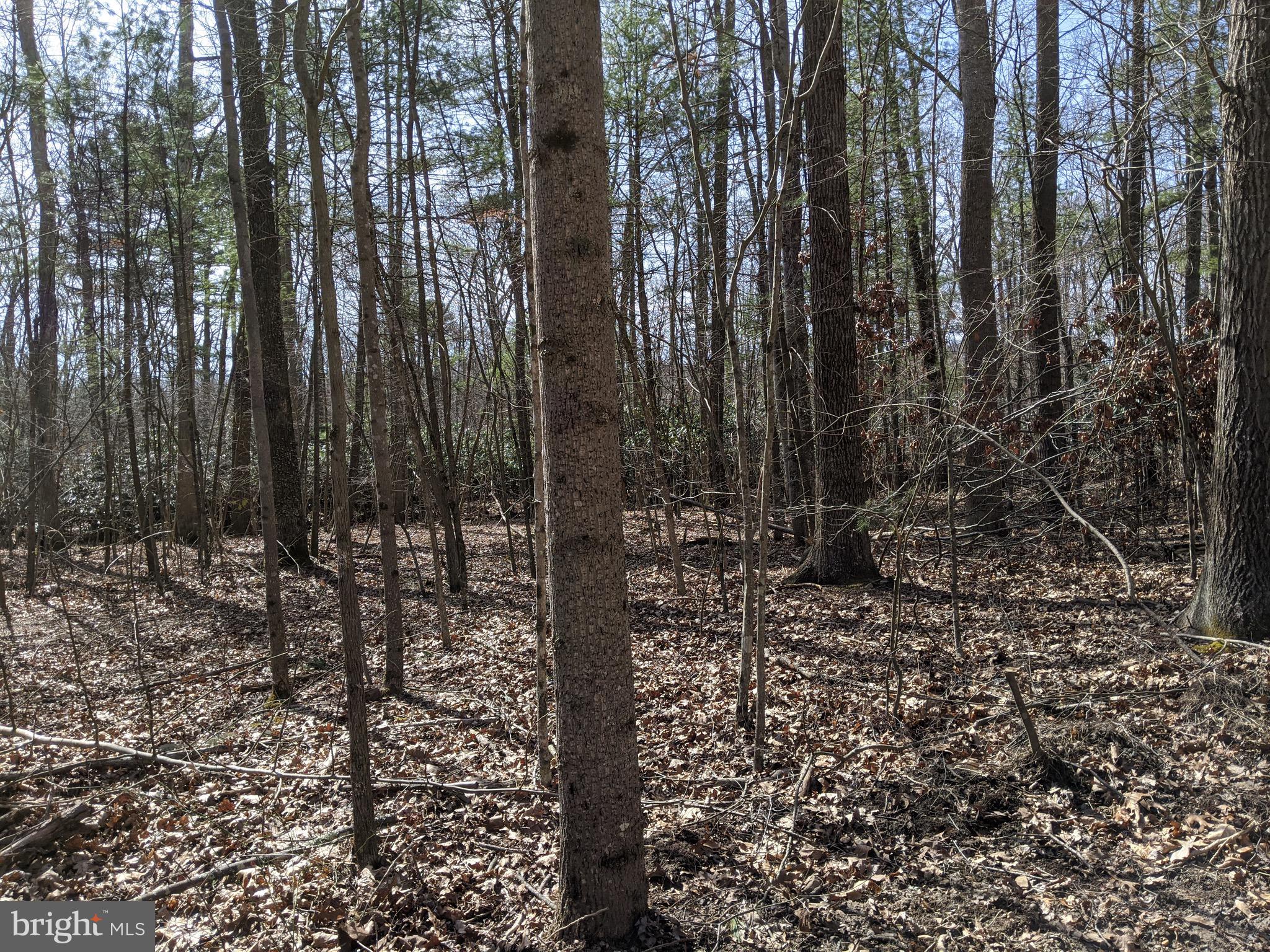 Flintstone Creek Road Flintstone, MD 21530 - Photo 22 of 25 Gallery Image 22