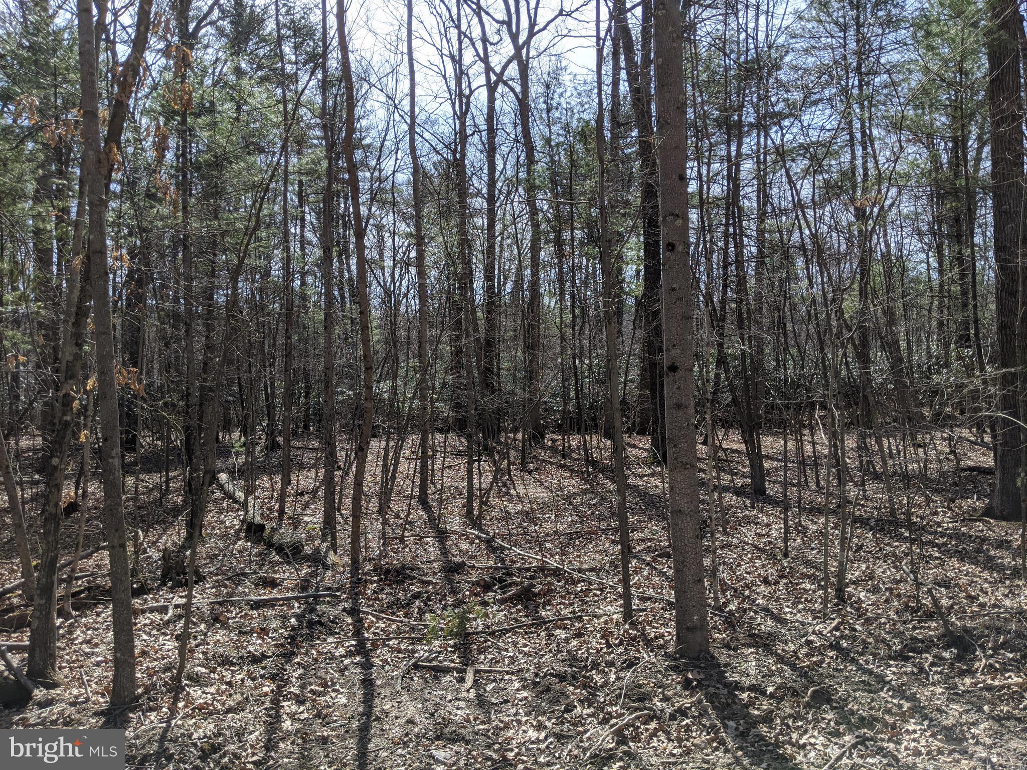 Flintstone Creek Road Flintstone, MD 21530 - Photo 25 of 25 Gallery Image 25