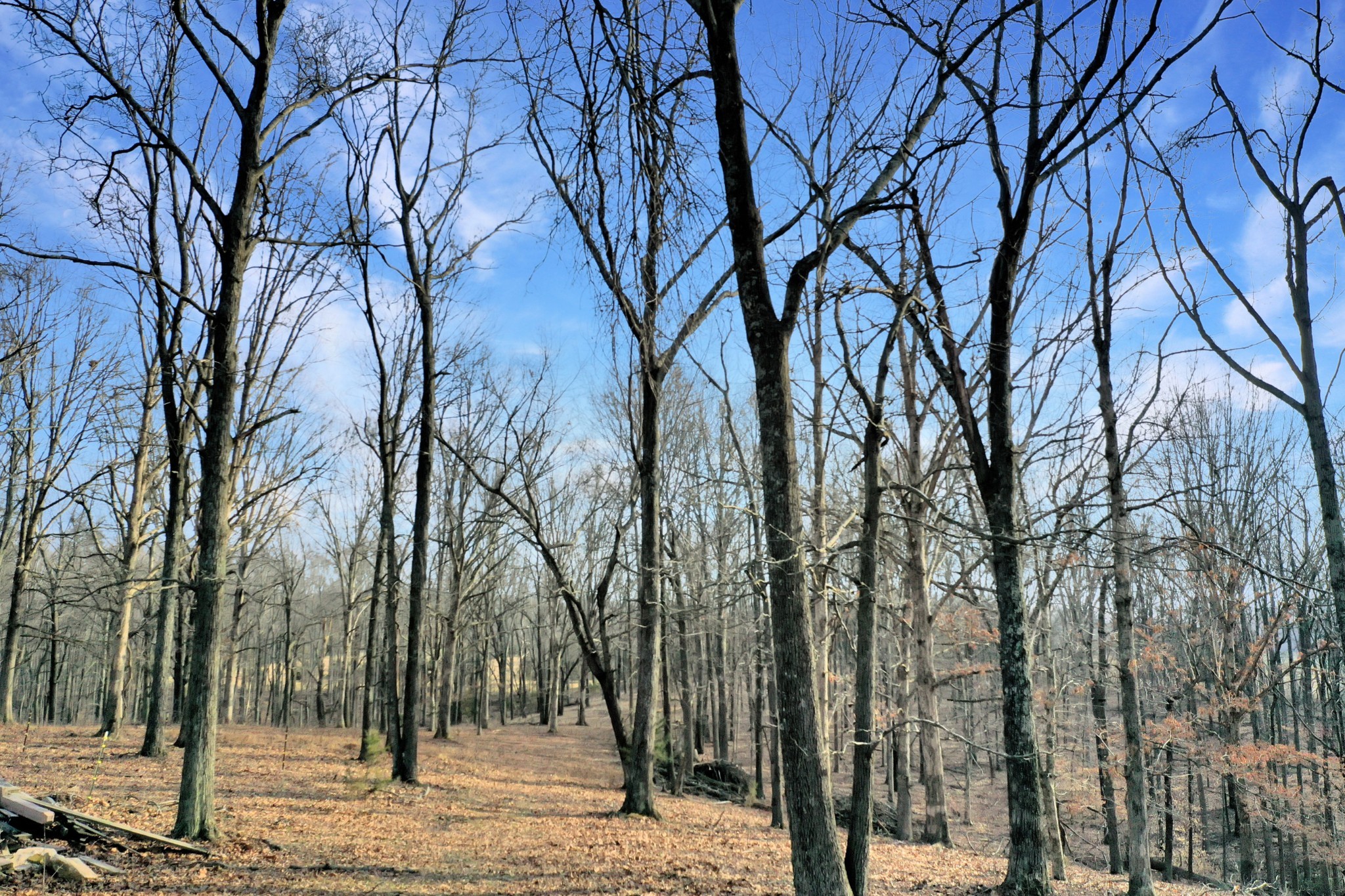 1041 Old Mt Vernon Road Bethpage, TN 37022 - Photo 4 of 9 Gallery Image 4