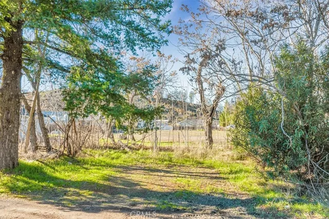 a view of a yard with large trees