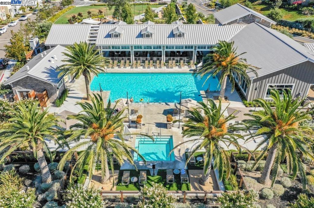 4519 Spring Mountain Way Dublin, CA 94568 - Photo 43 of 52 a view of a palm trees in front of house