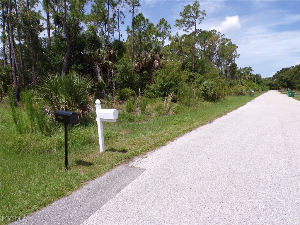 23413 Patera Avenue Punta Gorda, FL 33980 - Photo 5 of 13 a view of a garden