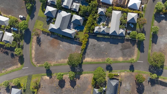 a street view with large trees