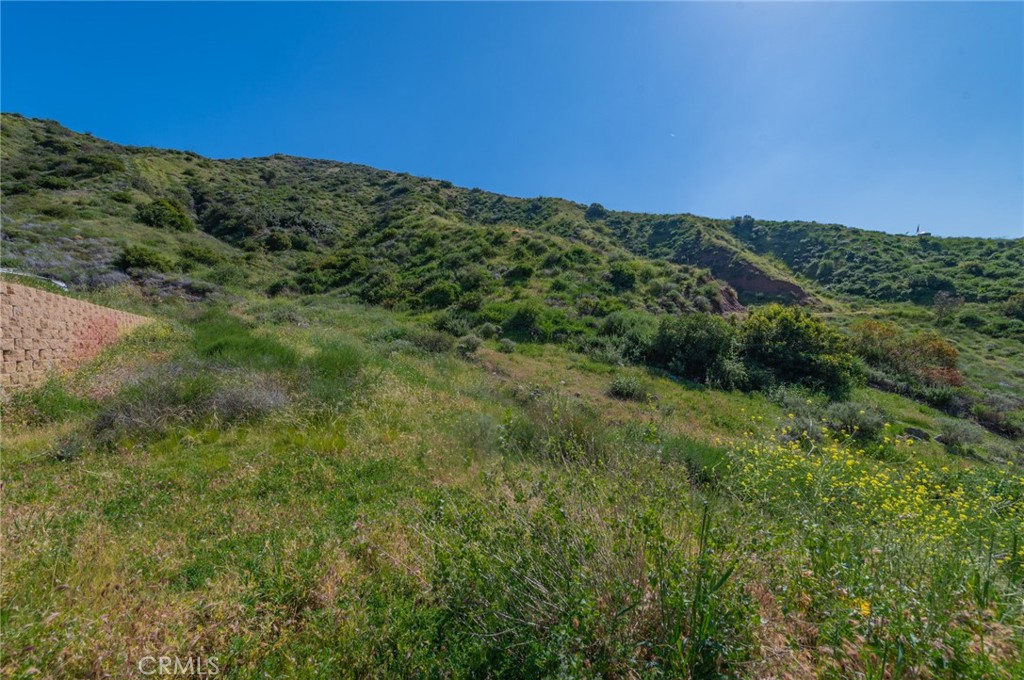 28741 Williams Canyon Road Silverado, CA 92676 - Photo 22 of 36