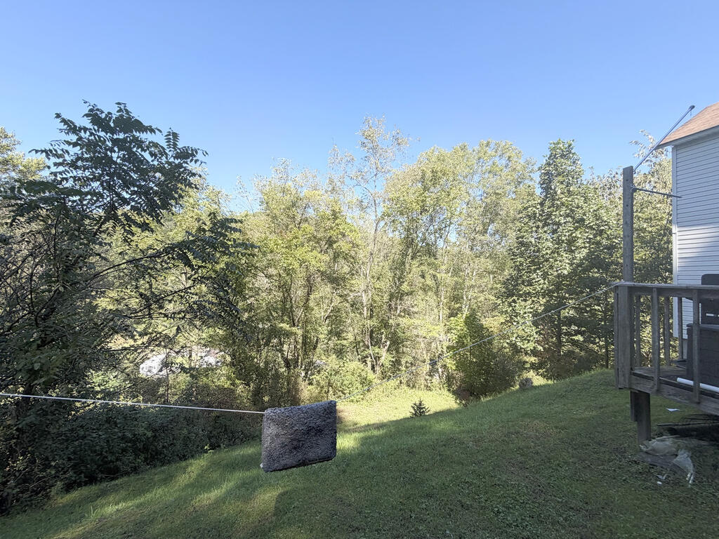 164 Beulah Road Mount Hope, WV 25880 - Photo 34 of 46 Gallery Image 34