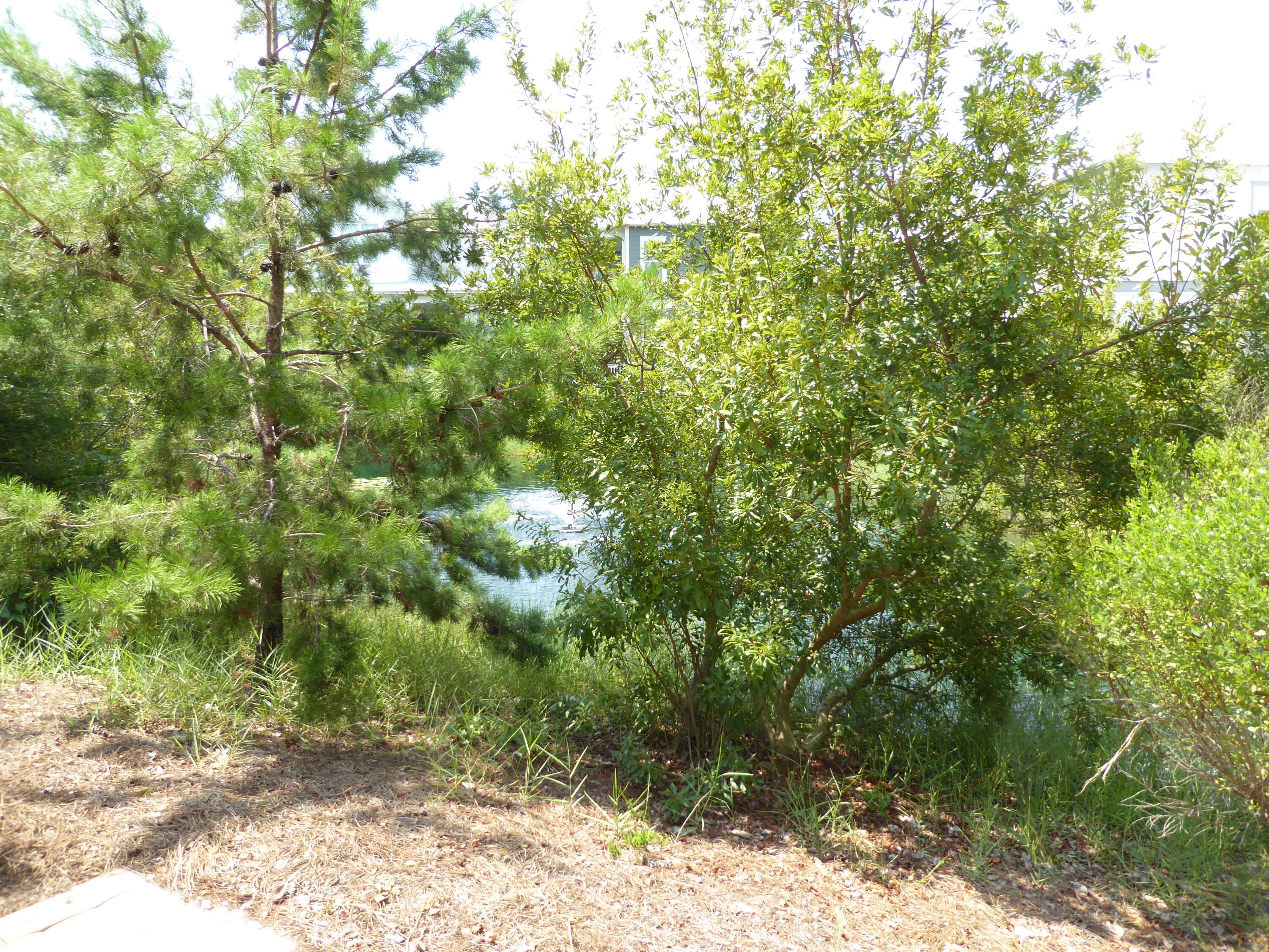 28 Gulfview Way Santa Rosa Beach, FL 32459 - Photo 57 of 58 Gallery Image 57