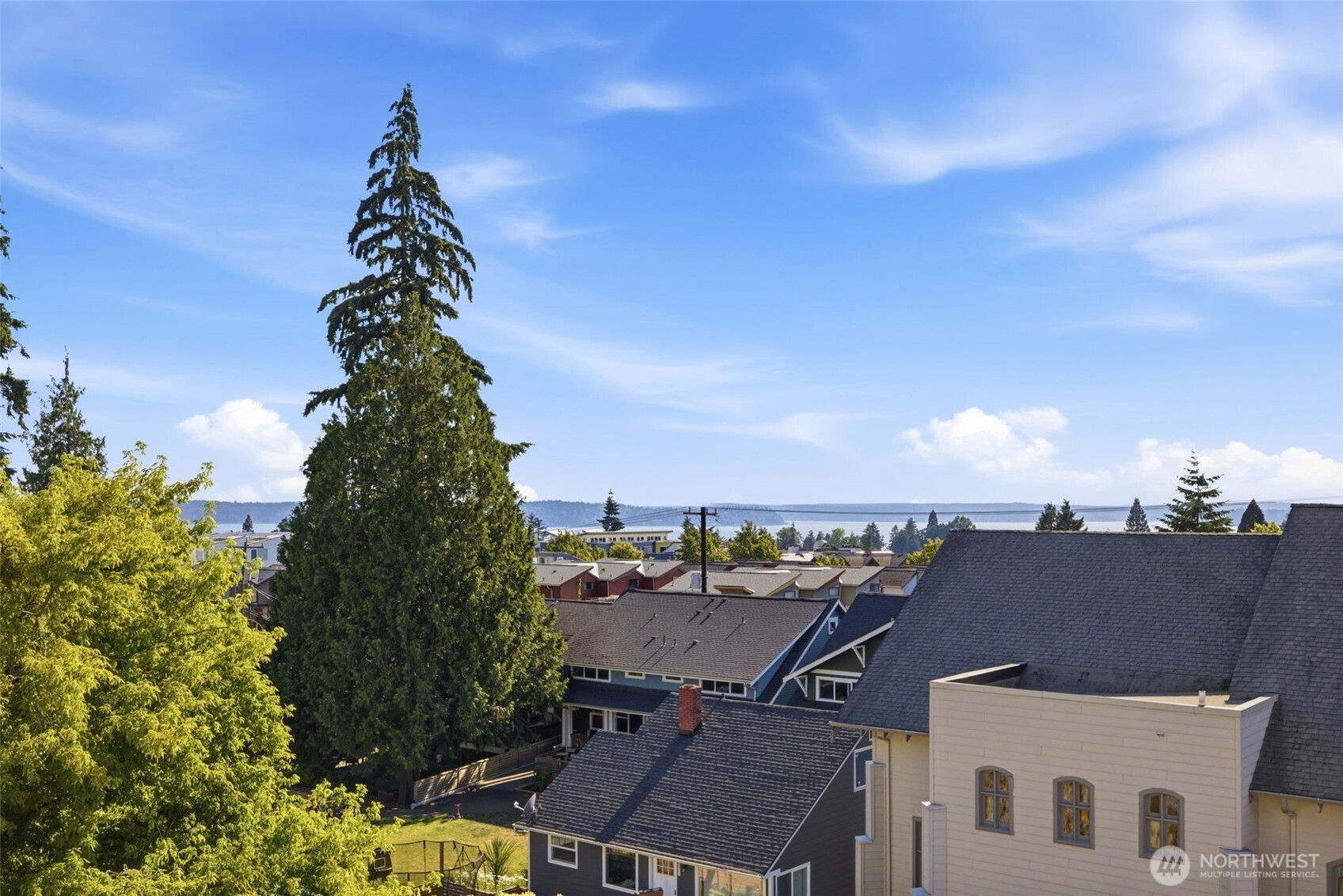 4117 Southwest Juneau Street Seattle, WA 98136 - Photo 29 of 40