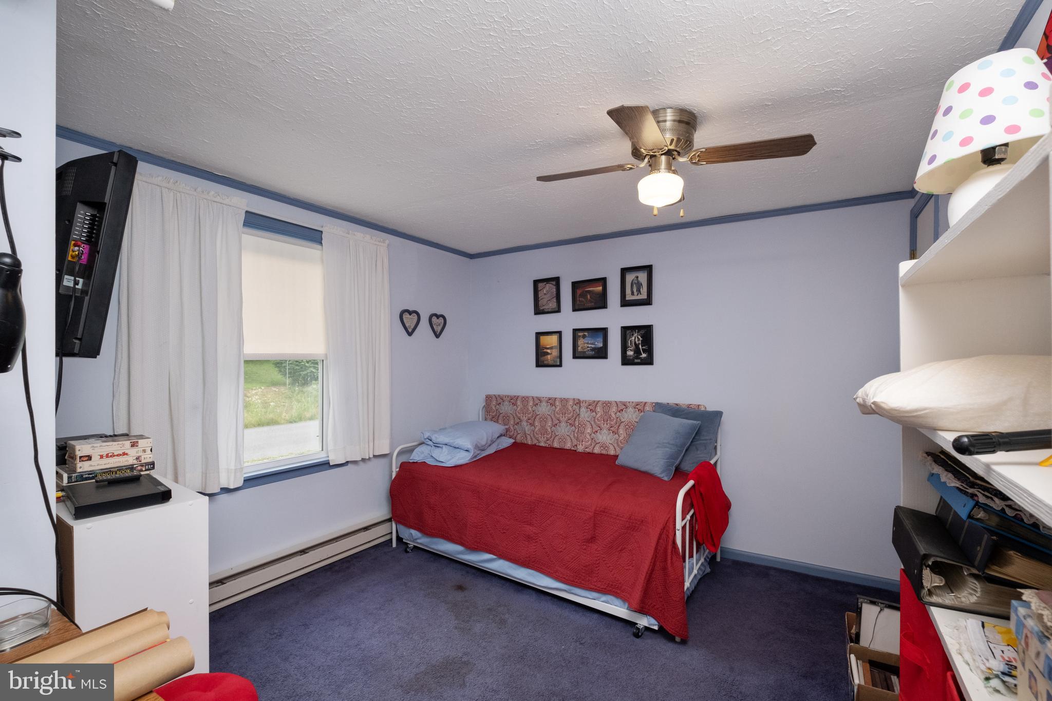 2391 Pine Woods Road Quicksburg, VA 22847 - Photo 23 of 33