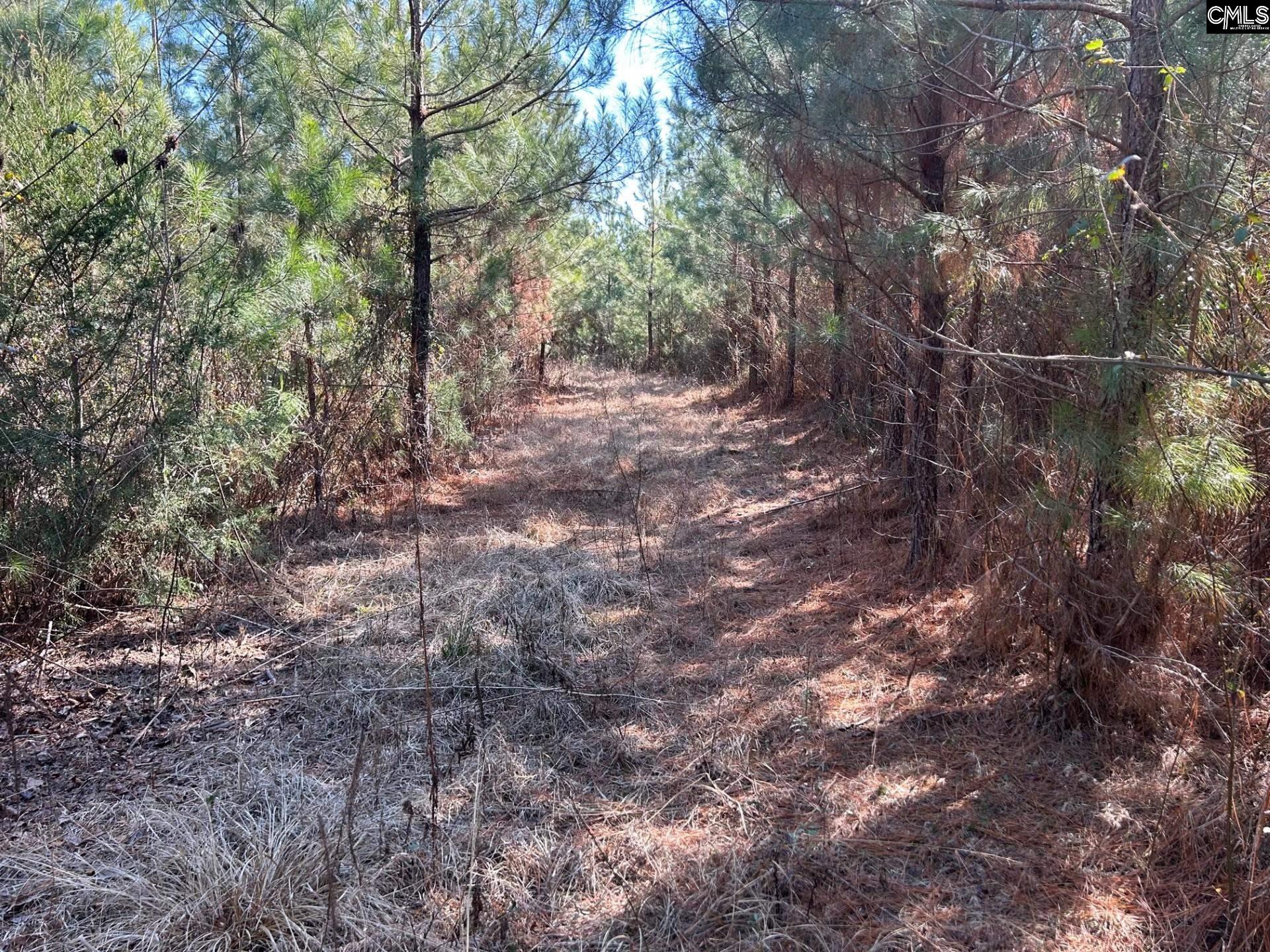 Tbd Crooked Creek Road Chapin, SC 29036 - Photo 15 of 20