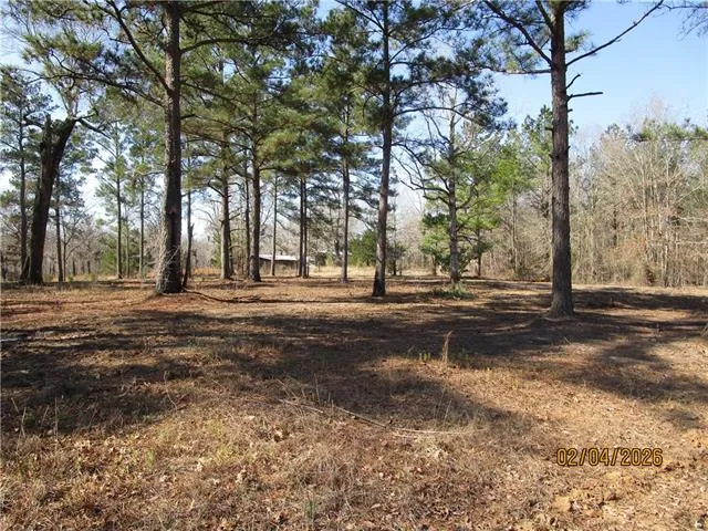 $52,500 | Tbd Hog Island Road, Dry Prong, LA 71423