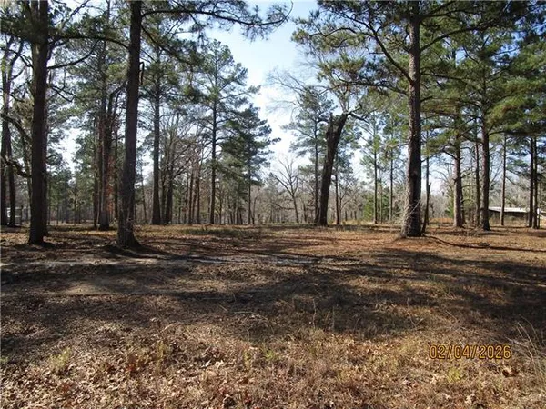 $52,500 | Tbd Hog Island Road, Dry Prong, LA 71423