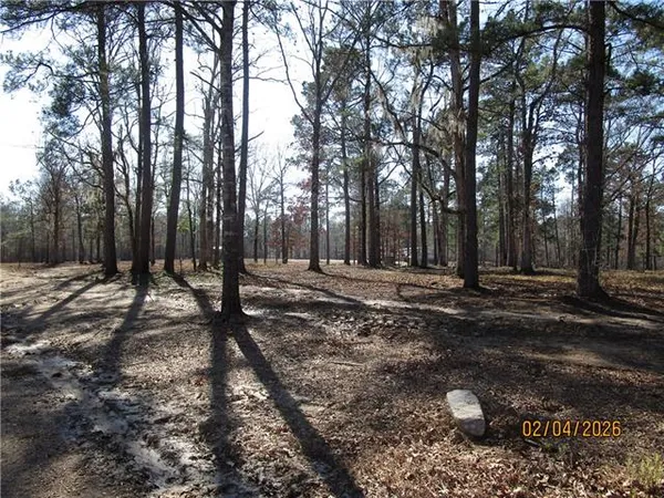 $52,500 | Tbd Hog Island Road, Dry Prong, LA 71423