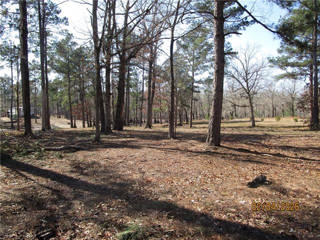 Tbd Hog Island Road Dry Prong, LA 71423 - Photo 4 of 10