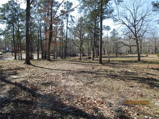 $52,500 | Tbd Hog Island Road, Dry Prong, LA 71423
