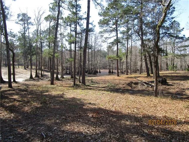 $52,500 | Tbd Hog Island Road, Dry Prong, LA 71423