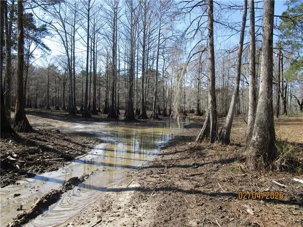 $52,500 | Tbd Hog Island Road, Dry Prong, LA 71423