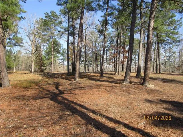 $52,500 | Tbd Hog Island Road, Dry Prong, LA 71423