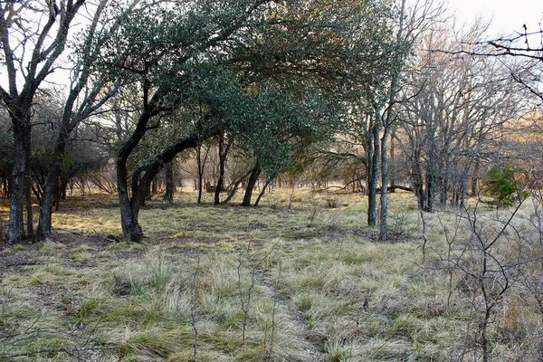$145,000 | Lot 49 Tatanka Trail, Gustine, TX 76455