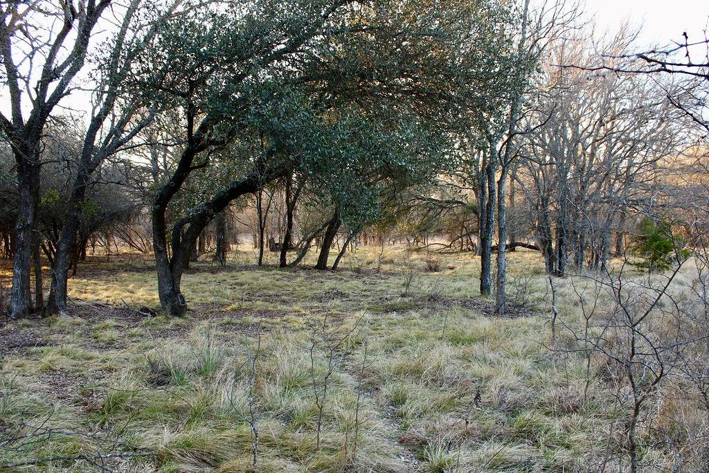 Lot 49 Tatanka Trail Gustine, TX 76455 - Photo 11 of 24 a view of outdoor space with trees